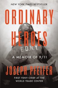 bokomslag Ordinary Heroes