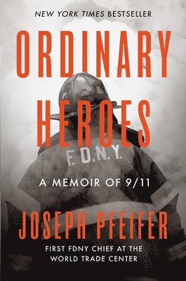 Ordinary Heroes 1