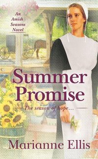 bokomslag Summer Promise