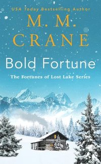 bokomslag Bold Fortune