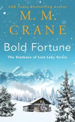 bokomslag Bold Fortune