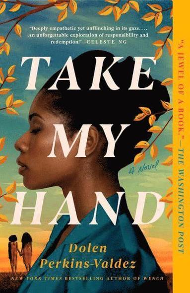 Dolen Perkins-Valdez - Take My Hand, Häftad
