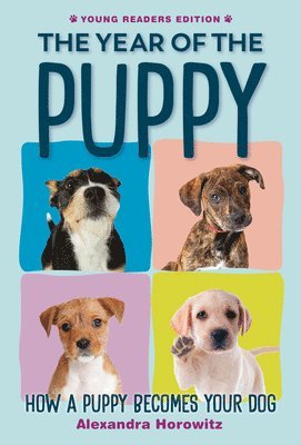 The Year of the Puppy: How a Puppy Becomes Your Dog 1