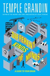 bokomslag Different Kinds of Minds: A Guide to Your Brain