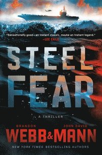 bokomslag Steel Fear