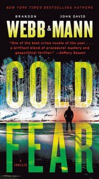 bokomslag Cold Fear: A Thiller