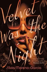 bokomslag Velvet Was the Night