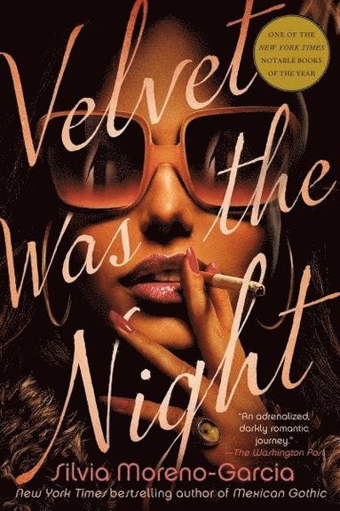 bokomslag Velvet Was the Night