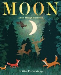 bokomslag Moon: A Peek-Through Board Book