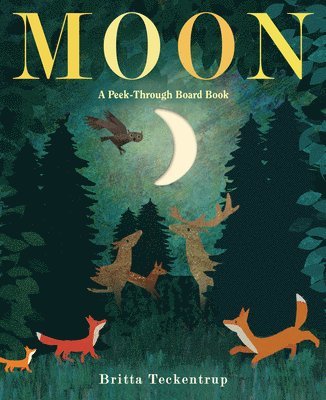 bokomslag Moon: A Peek-Through Board Book