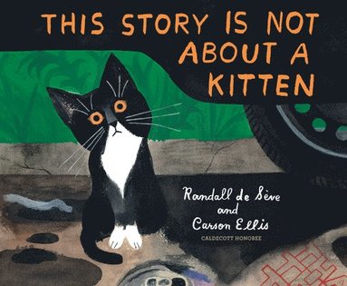 bokomslag This Story Is Not About A Kitten