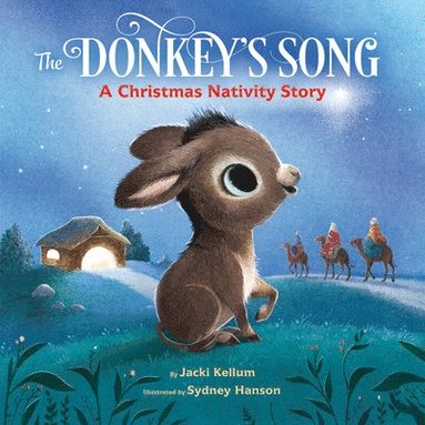bokomslag Donkey's Song