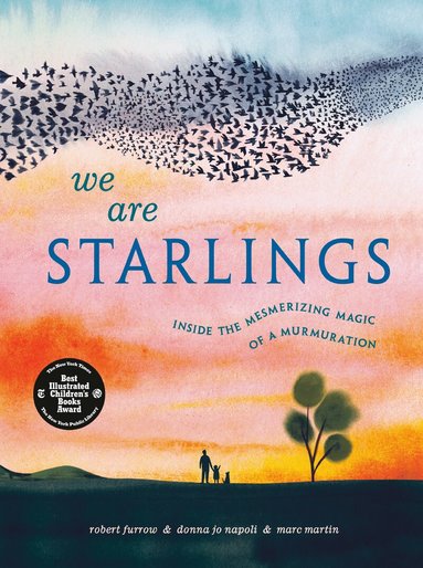 Robert Furrow, Donna Jo Napoli - We Are Starlings, Inbunden