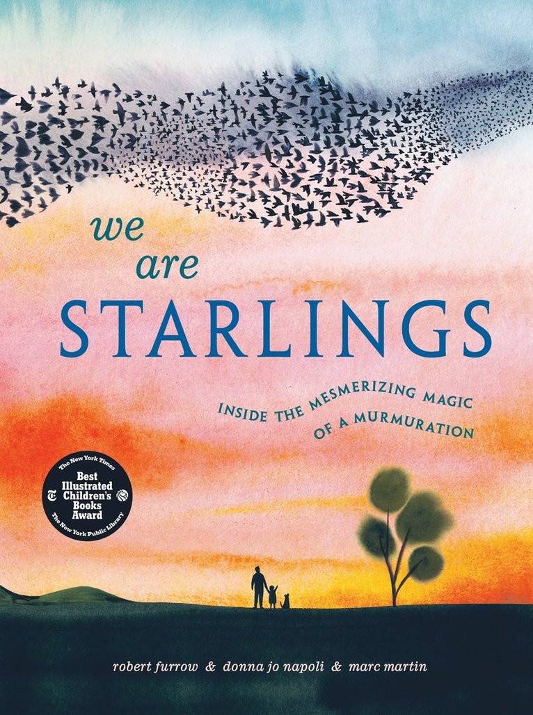 Robert Furrow, Donna Jo Napoli - We Are Starlings, Inbunden