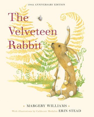 Velveteen Rabbit 1