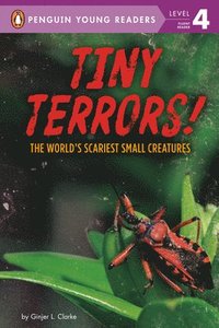 bokomslag Tiny Terrors!