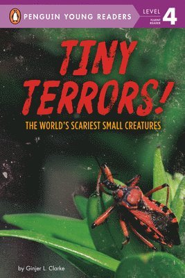 Tiny Terrors! 1