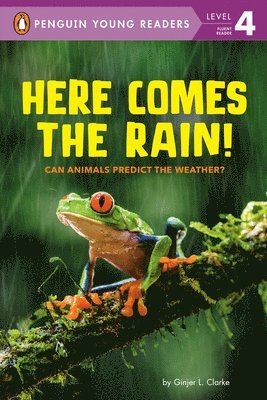 Here Comes the Rain!