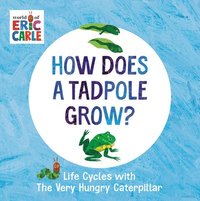 bokomslag How Does a Tadpole Grow?