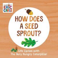 bokomslag How Does a Seed Sprout?