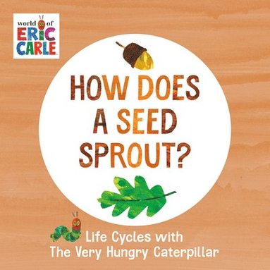 bokomslag How Does a Seed Sprout?