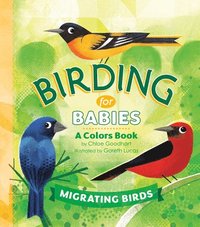 bokomslag Birding for Babies: Migrating Birds