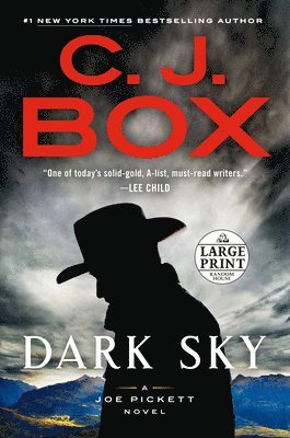 bokomslag Dark Sky