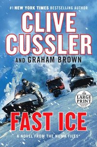 bokomslag Fast Ice