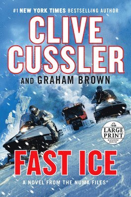 bokomslag Fast Ice