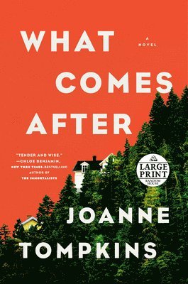 Joanne Tompkins - What Comes After, Häftad