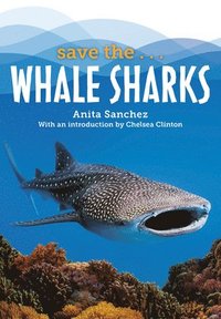 bokomslag Save the...Whale Sharks