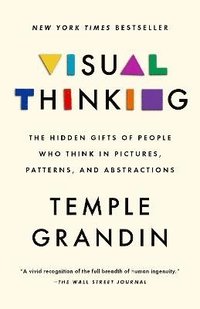 bokomslag Visual Thinking: The Hidden Gifts of People Who Think in Pictures, Patterns, and Abstractions
