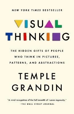 bokomslag Visual Thinking: The Hidden Gifts of People Who Think in Pictures, Patterns, and Abstractions