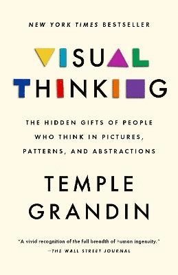 Visual Thinking: The Hidden Gifts of People Who Think in Pictures, Patterns, and Abstractions 1