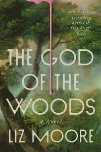 bokomslag The God of the Woods