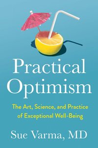 bokomslag Practical Optimism