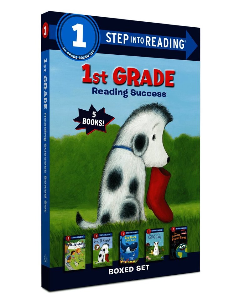 1st Grade Reading Success Boxed Set