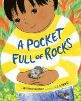 bokomslag A Pocket Full of Rocks