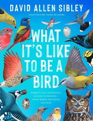 bokomslag What It's Like to Be a Bird (Adapted for Young Readers)