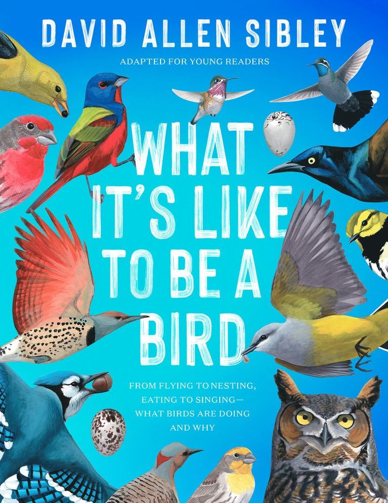 David Allen Sibley - What It's Like to Be a Bird (Adapted for Young Readers), Inbunden