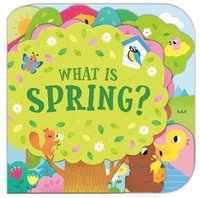 bokomslag What Is Spring?