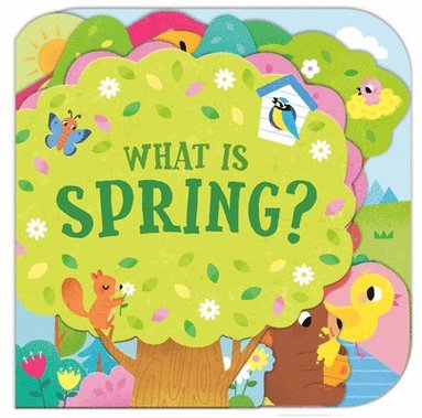 Sonali Fry - What Is Spring?, Kartonnage