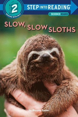 Slow, Slow Sloths 1