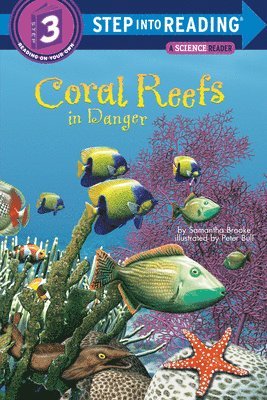 Coral Reefs in Danger 1