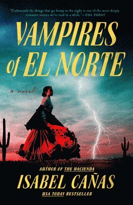 bokomslag Vampires of El Norte