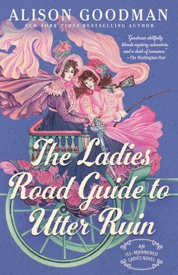 bokomslag The Ladies Road Guide to Utter Ruin