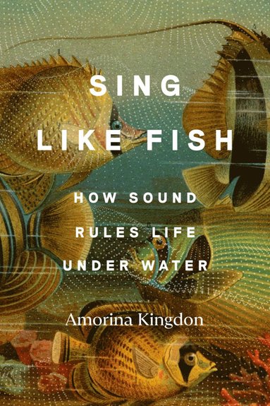 bokomslag Sing Like Fish: How Sound Rules Life Under Water