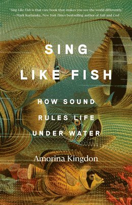 Amorina Kingdon - Sing Like Fish, Häftad