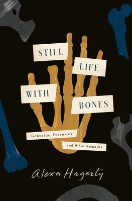 Still Life With Bones 1