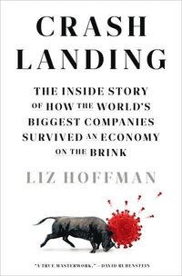bokomslag Hoffman, L: Crash Landing